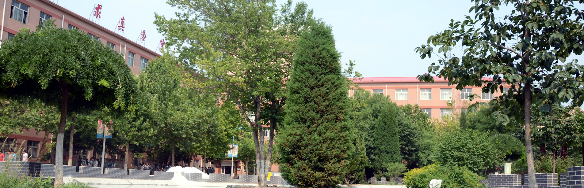 Banner 1