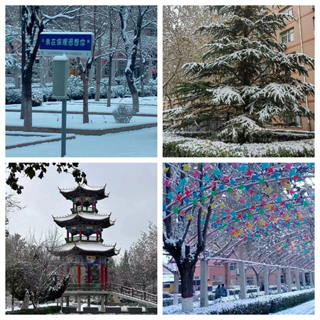 浴“雪”奮戰---藝術學院開展冬日“破冰行動”