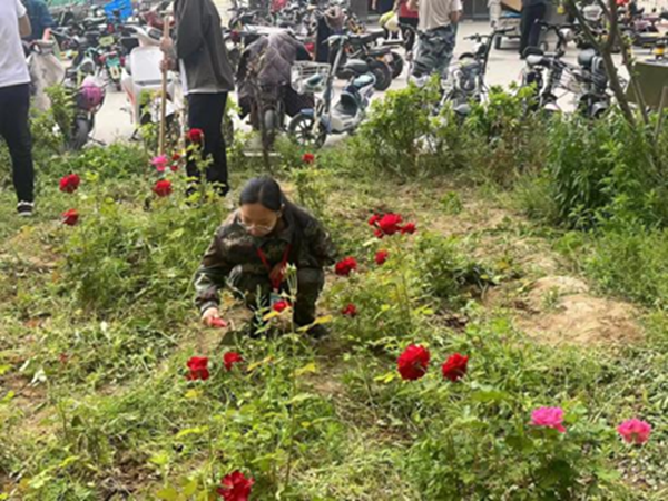 勞動教育|保定理工學院|管理學院|學習勞動精神·踐行勞動育人-跟著節氣學種植，分享勞動創造的美好樂趣