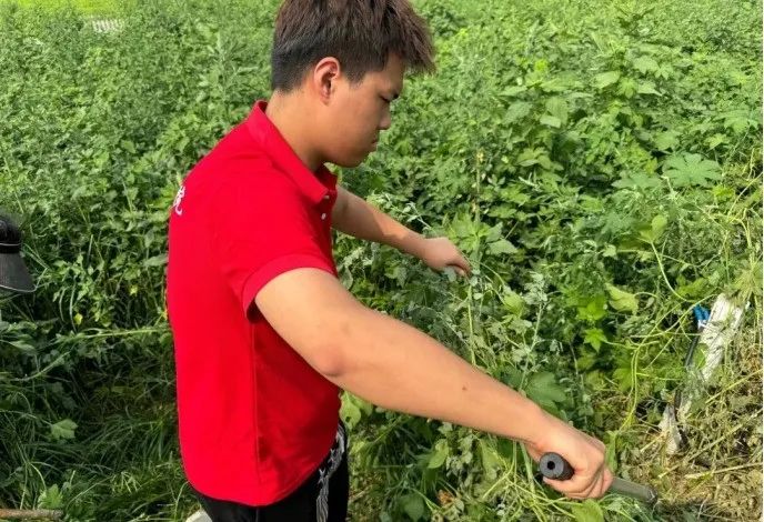 社會實踐（十六）勇?lián)鷷r代使命，助力興村振興——保定理工學院經(jīng)濟學院“三下鄉(xiāng)”社會實踐