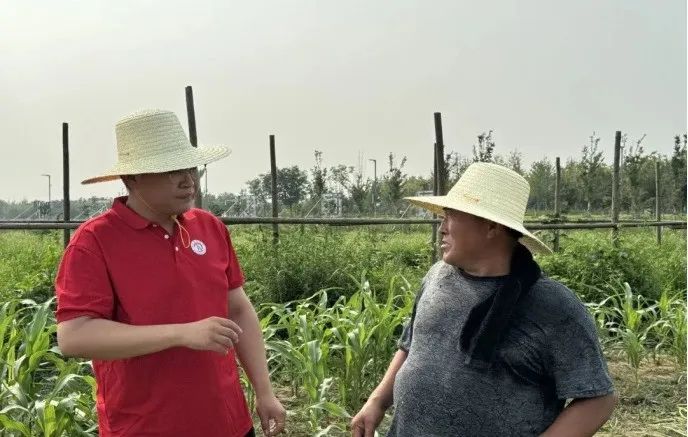社會實踐（十六）勇?lián)鷷r代使命，助力興村振興——保定理工學院經(jīng)濟學院“三下鄉(xiāng)”社會實踐