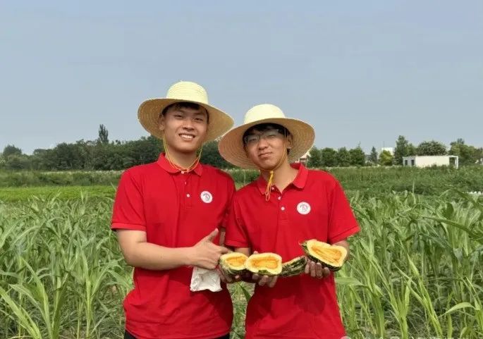 社會實踐（十六）勇?lián)鷷r代使命，助力興村振興——保定理工學院經(jīng)濟學院“三下鄉(xiāng)”社會實踐