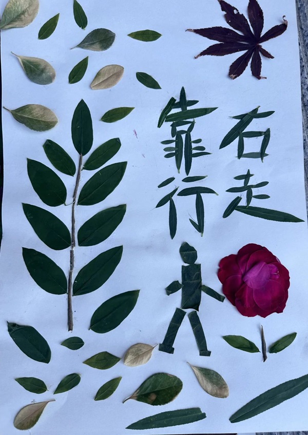 體驗式教育|保定理工學院|管理學院|創意勞動課助力無煙校園與文明出行建設