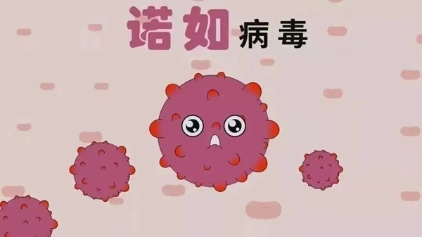 疾病防控|保定理工學院|管理學院|諾如病毒進入高發期，這份防護指南請收好！
