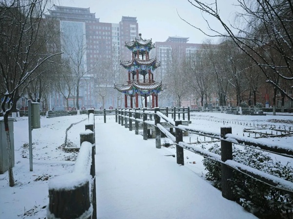 寒假限定！保理的初雪，把浪漫寄給返鄉(xiāng)的你
