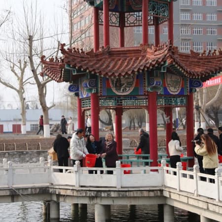 植此青綠，不負春光