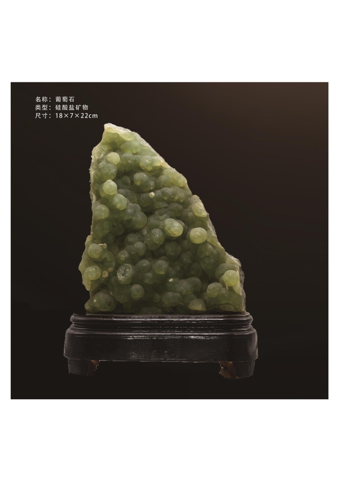 地質館簡介