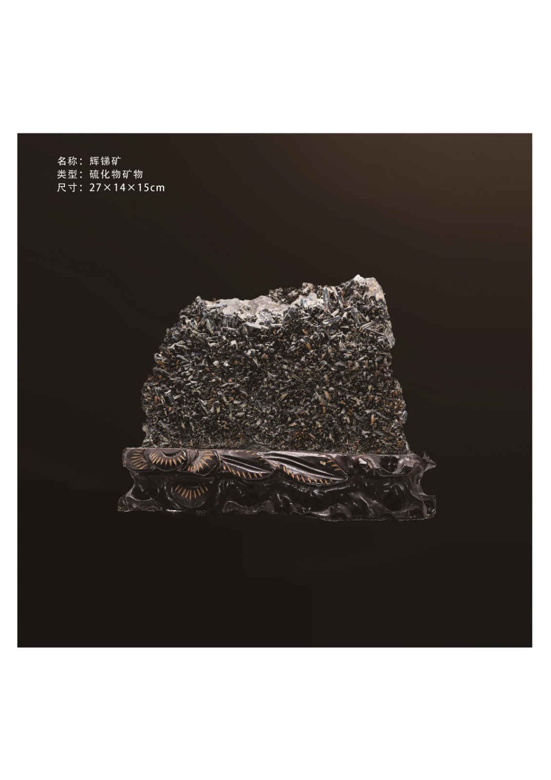 地質館簡介