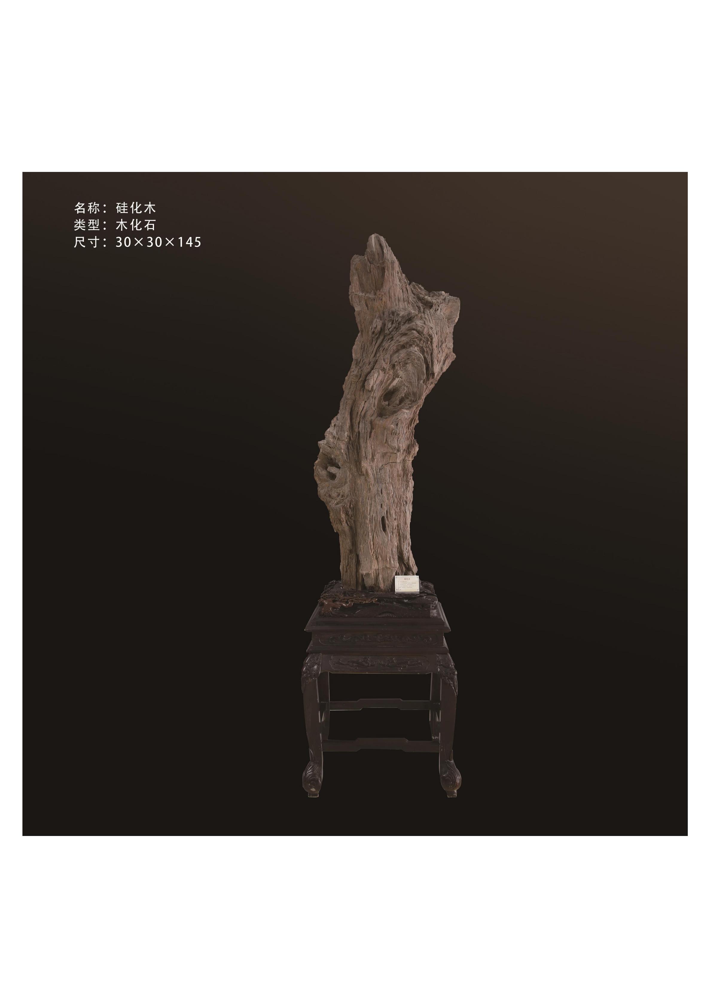 地質館簡介