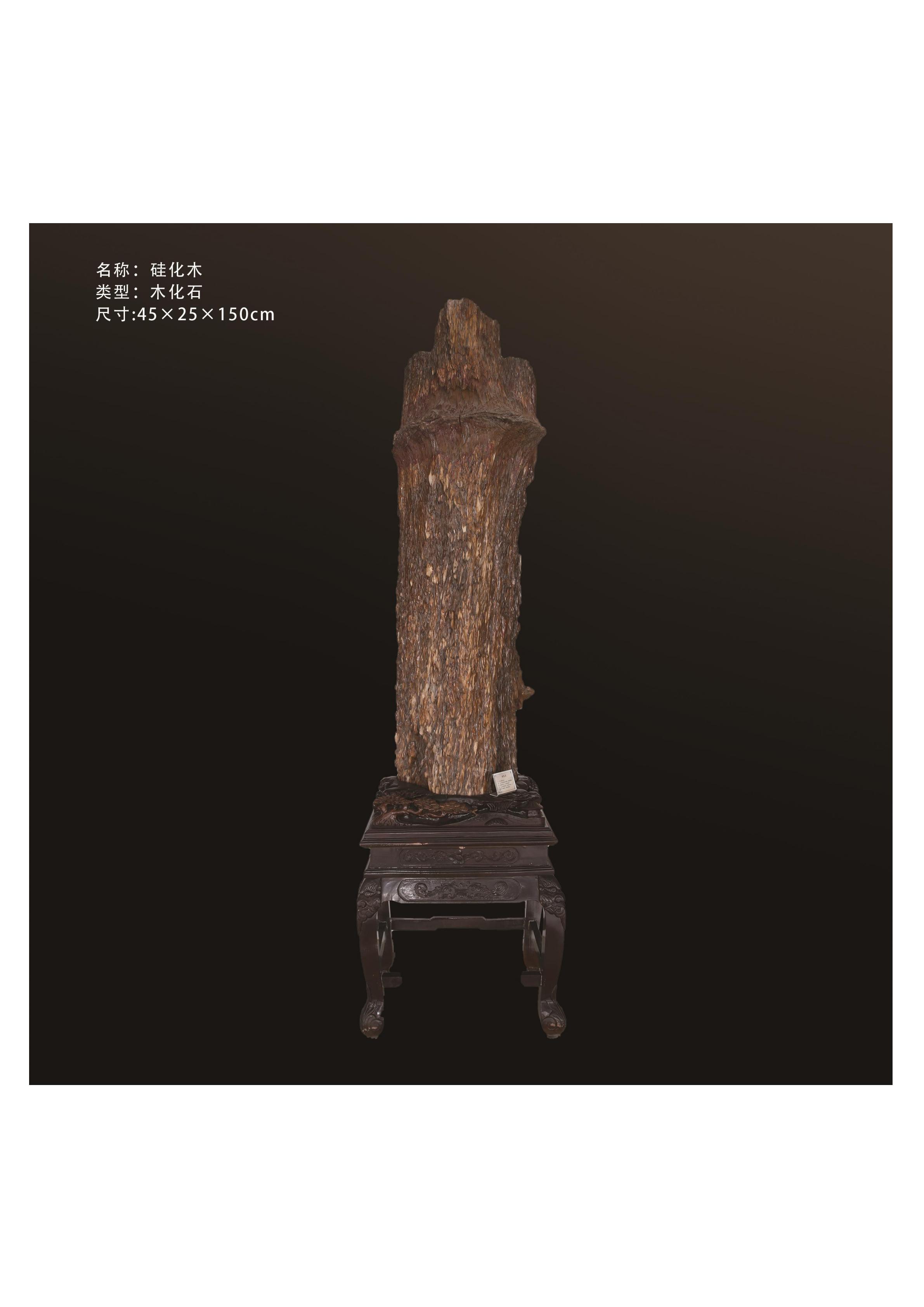 地質館簡介