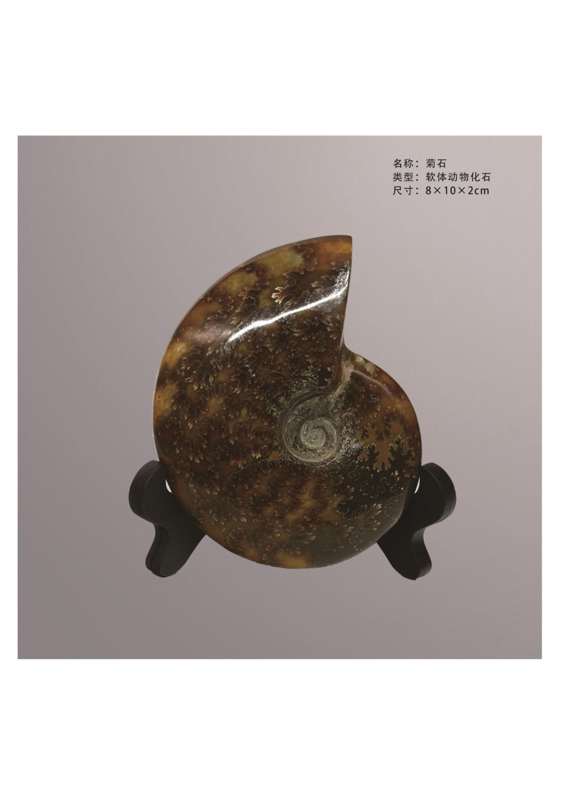 簡介