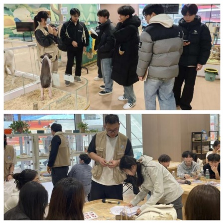 課堂搬進商業綜合體，設計賦能地方文旅發展——保定理工學院藝術學院校企實踐收獲企業感謝信