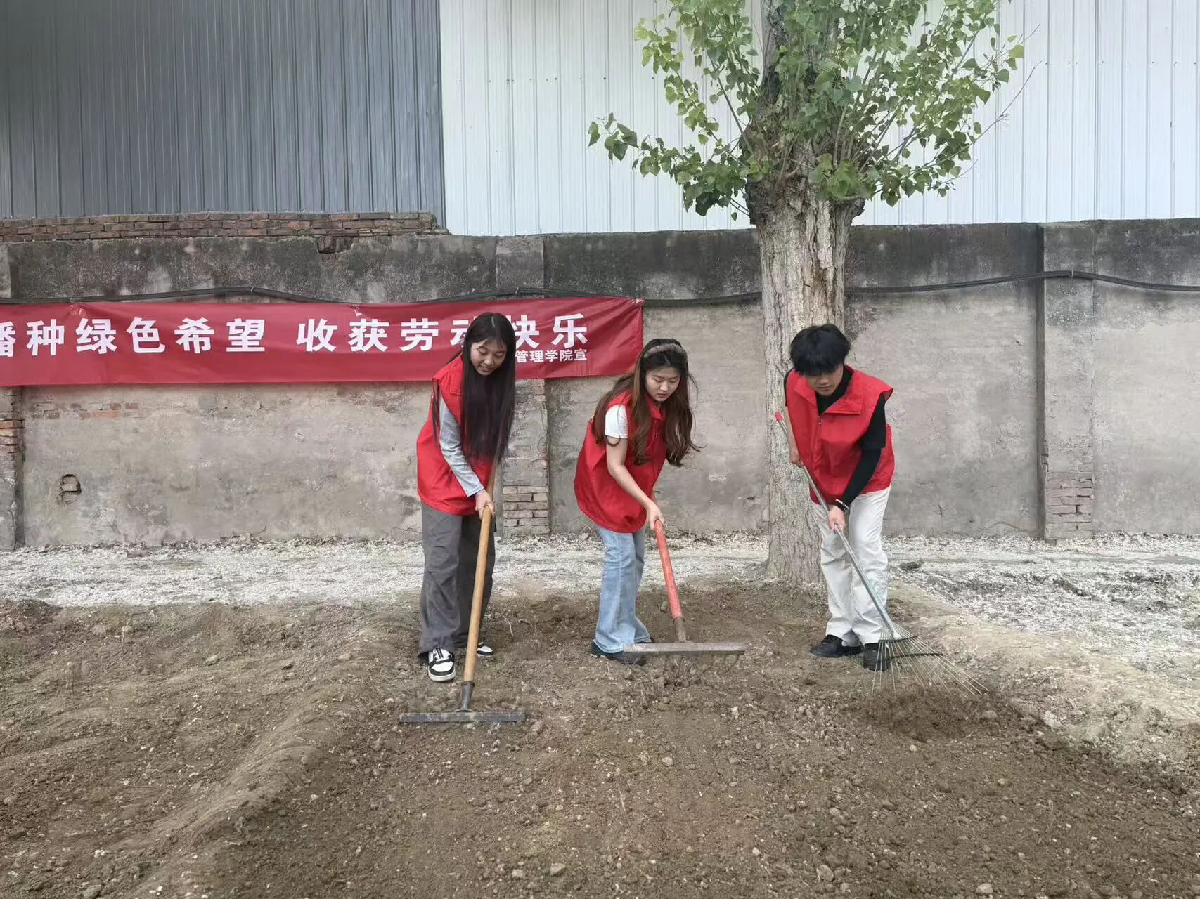 勞動鑄魂踐初心 體驗賦能促成長——保定理工學院管理學院開展勞動教育月主題黨日實踐活動