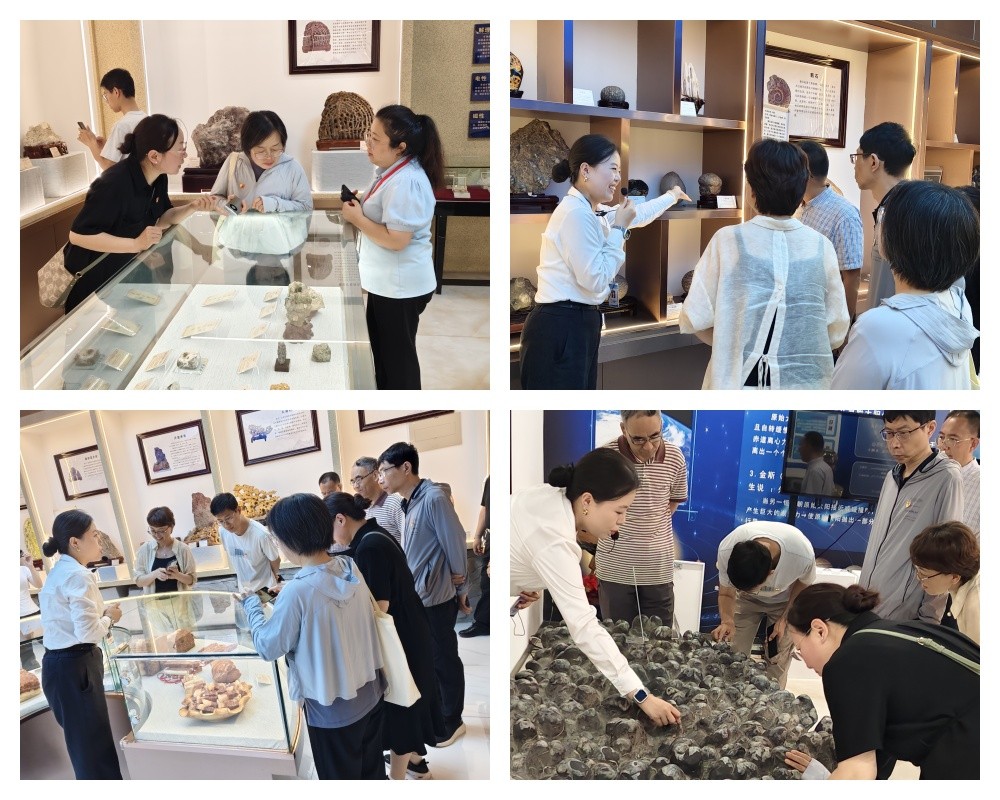 【紅幟領航 信工逐光】黨建結對聚合力 共建賦能促發展 ——保定理工學院信工學院教工黨支部與河北大學網計學院計科系教工黨支部開展黨建共建活動