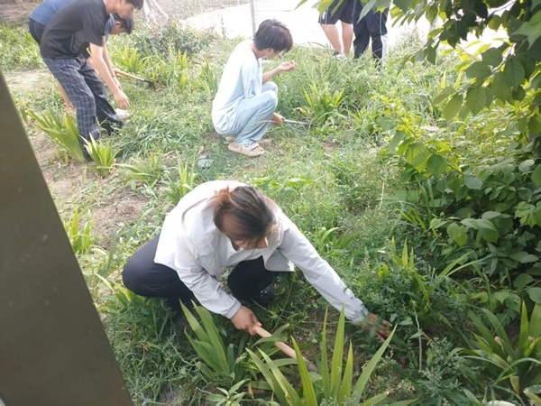 躬身勞作踐初心 體驗育人促成長——管理科學與工程學院開展實景勞動實踐活動