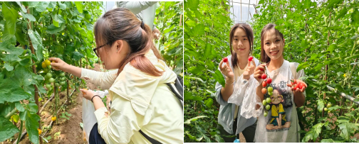 會計學院開展勞動教育專業實踐活動