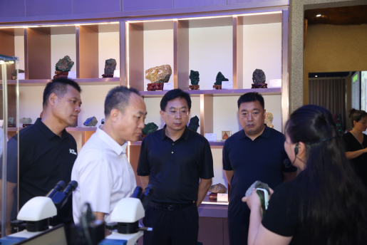 科創賦能謀發展，校地協同譜新篇 ——保定市科協領導蒞臨我校交流指導