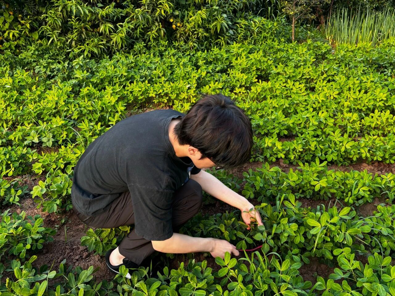 管理科學與工程學院開展暑期“勞動感恩?孝老愛親”德育實踐活動