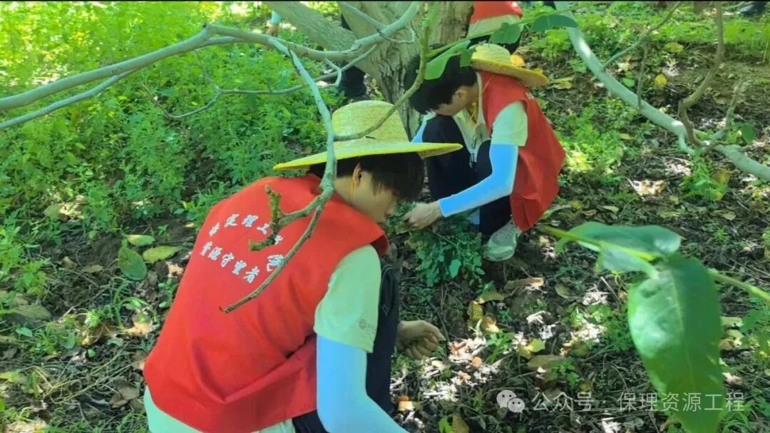 畢業(yè)典禮