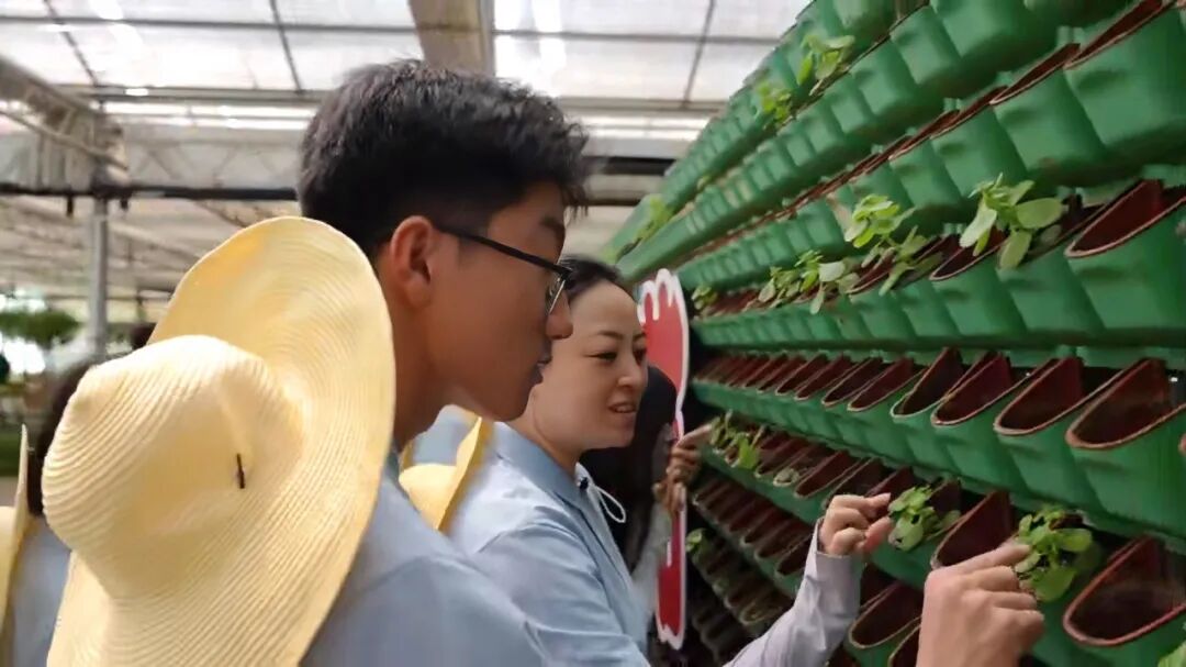當“新農具”遇上“新質力”！保定理工學院學子把課堂搬進桃園與智慧大棚