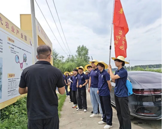 深耕曲陽薯業(yè)，揮灑助農(nóng)青春——會計學(xué)院三下鄉(xiāng)社會實踐紀(jì)實（一）