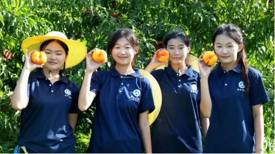 踏遍柳樹溝沃土，探尋鄉村振興發展路——會計學院三下鄉社會實踐紀實(二)