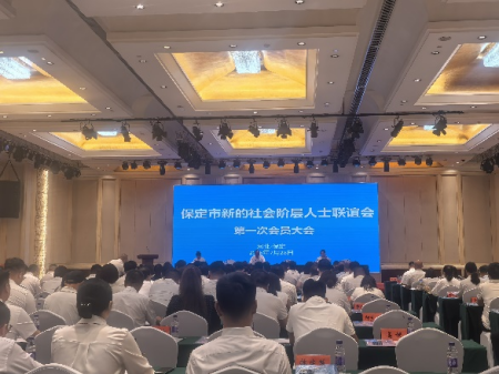 產教融合育碩果 設計賦能繪新章 ——保定理工學院設計市新聯會會標正式采用