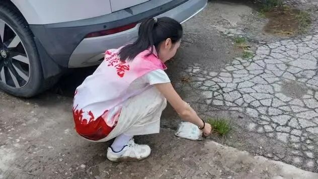 【教育學(xué)院·社會(huì)實(shí)踐】躬行實(shí)踐擔(dān)使命，青春志愿綻芳華